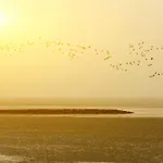 公寓 Kuckuck Am