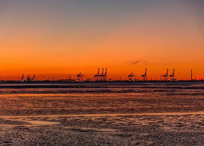 Kuckuck Am * Tossens